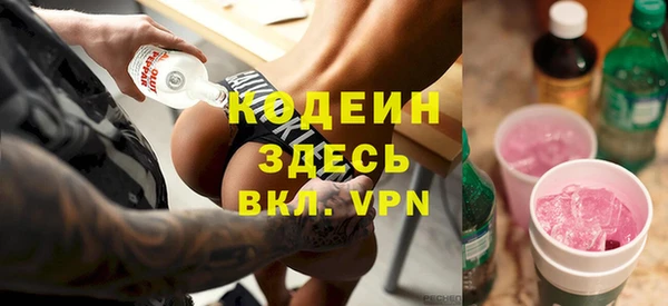 сатива Арсеньев