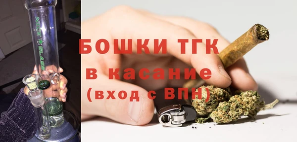 сатива Арсеньев