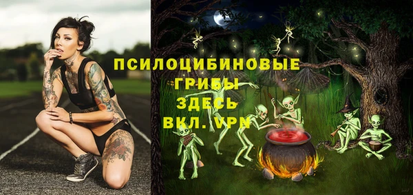 МДПВ Армянск