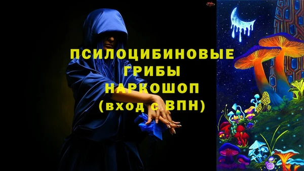 сатива Арсеньев