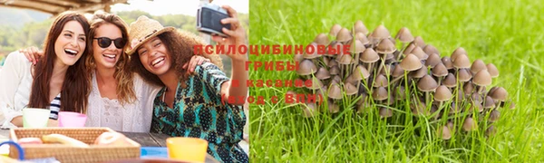 сатива Арсеньев