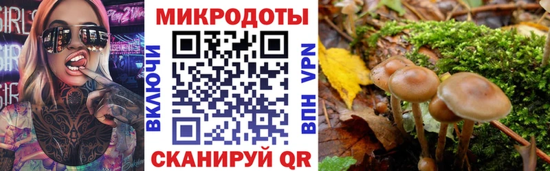 Псилоцибиновые грибы ЛСД  Георгиевск 