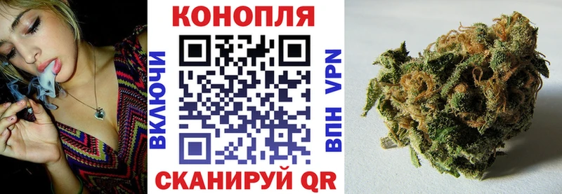 Бошки марихуана OG Kush  Георгиевск 
